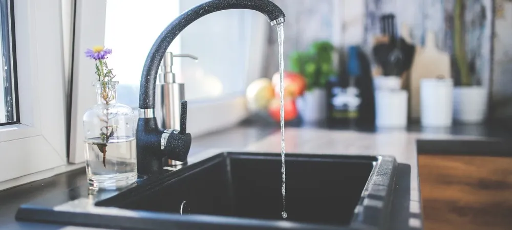 kitchen sink susceptible to drain flies
