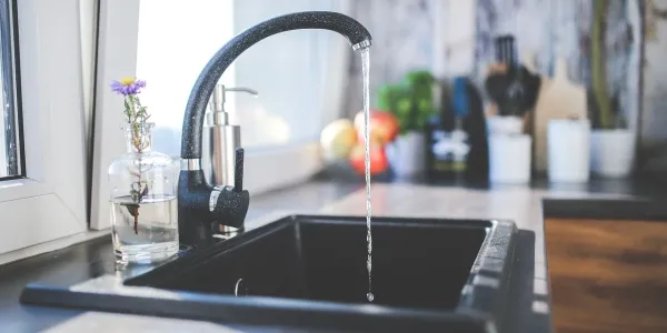 kitchen sink susceptible to drain flies
